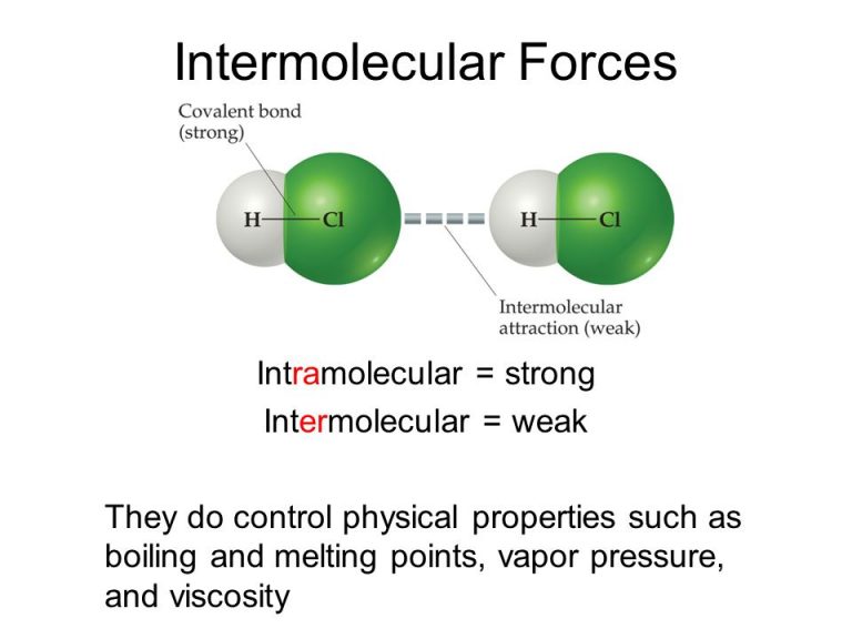 Intermolecular Forces Susan Berk Koch