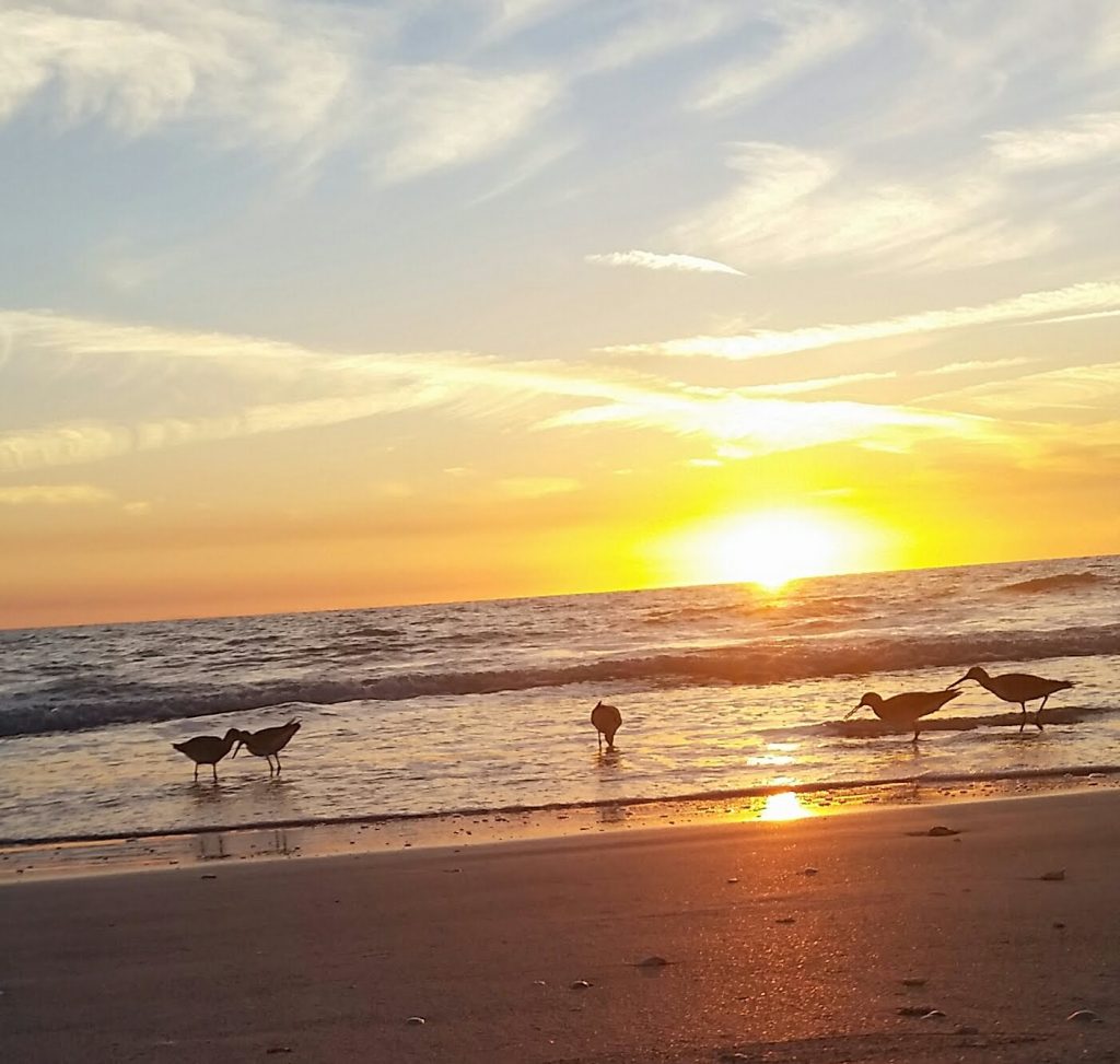 Florida Beach Sunset