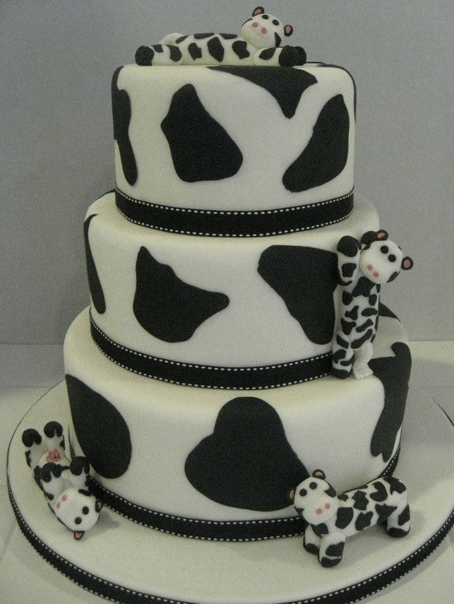  Gâteau de vache