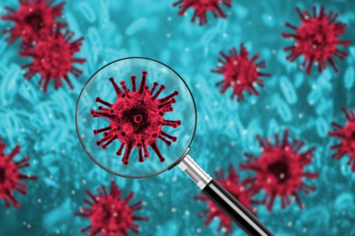 Virus under magnifying glass