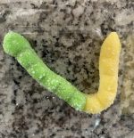 sour patch gummy worm...not a slug