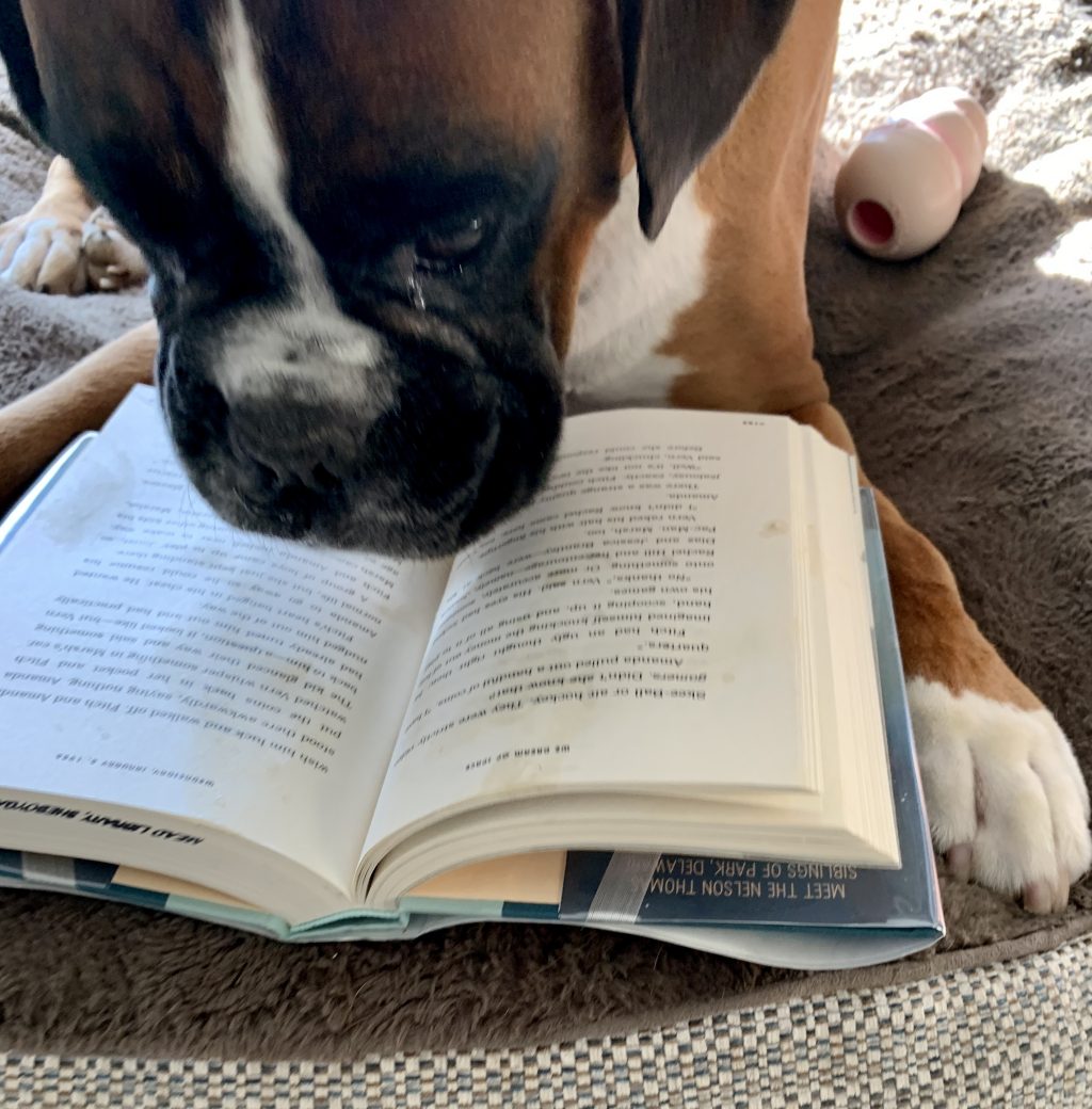 Louie reading