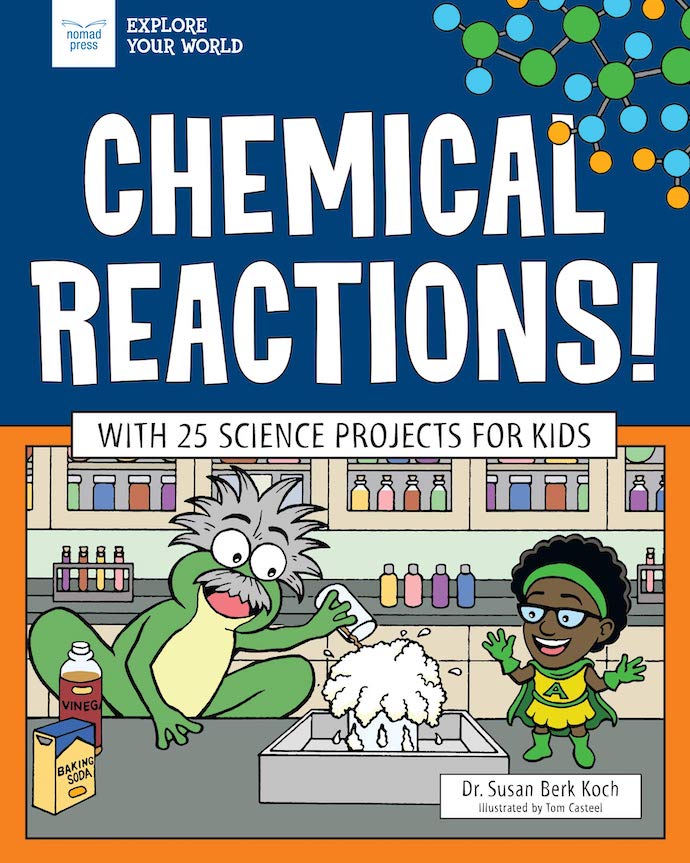 Chemical Reactions! by Dr. Susan Berk Koch