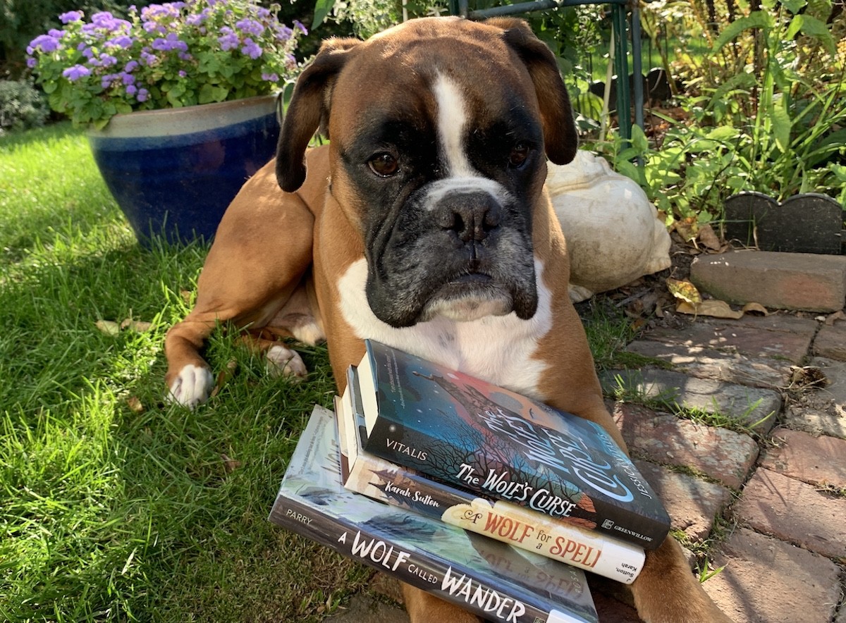 MIDDLE GRADE FANTASY WITH ANIMALS_Louie fav books outside