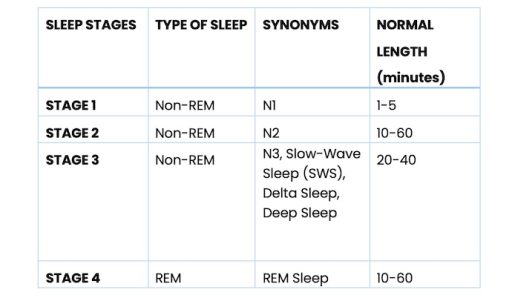 Chart: 4 Stages of Sleep
