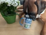 Louie sniffing Chemical Reactions Mug Louie