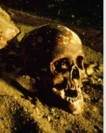 Skull from shipwreck