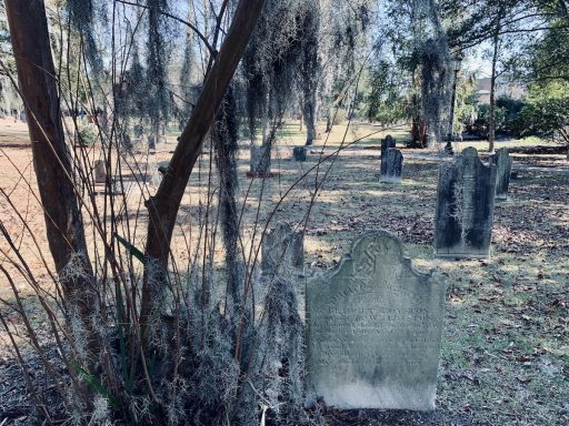 The Science of Fear_graveyard spanish moss