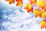 The-Science-behind-Positive-affirmations_-blue-sky-fall-leaves