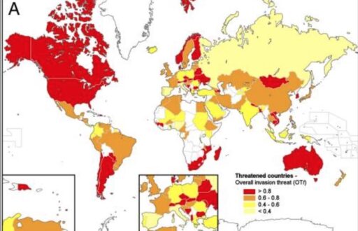 world map of Global threat of alien plant invaders