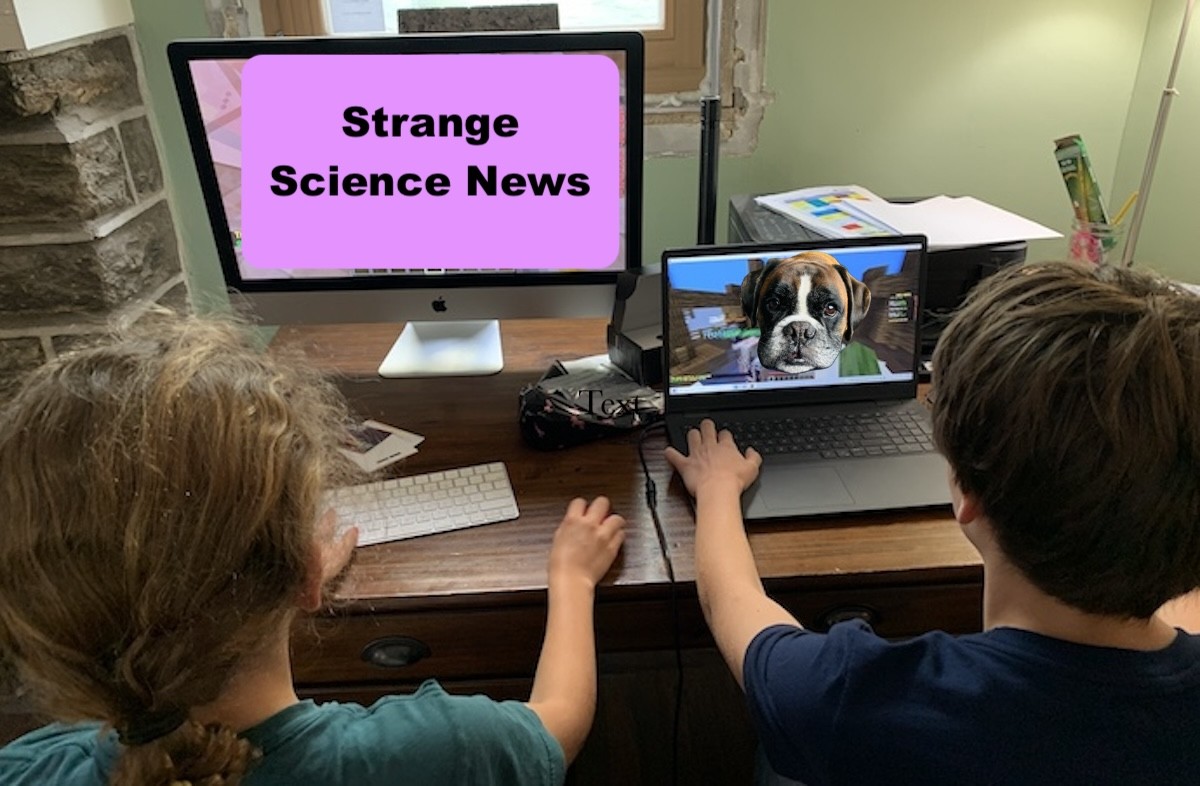 two kids at computer screens reading about strange science news