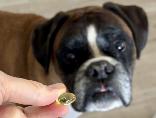 Most effective anti-inflammatory supplements