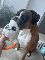 louie and his toy ghost